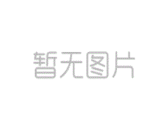 DGS-C小型鋼片式聯軸器